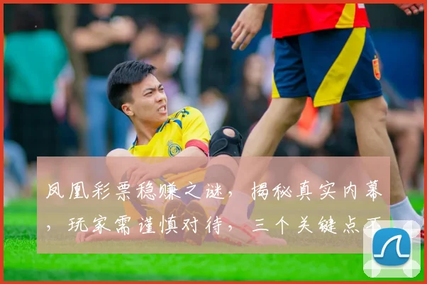凤凰彩票稳赚之谜，揭秘真实内幕，玩家需谨慎对待，三个关键点不容忽视
