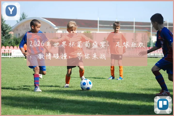 2026年世界杯葡萄盛宴，足球狂欢，激情碰撞，等你来战
