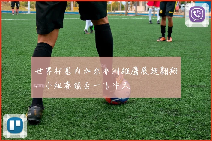 世界杯塞内加尔非洲雄鹰展翅翱翔，小组赛能否一飞冲天