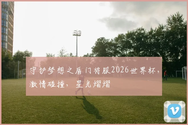 守护梦想之盾门将服2026世界杯，激情碰撞，星光熠熠